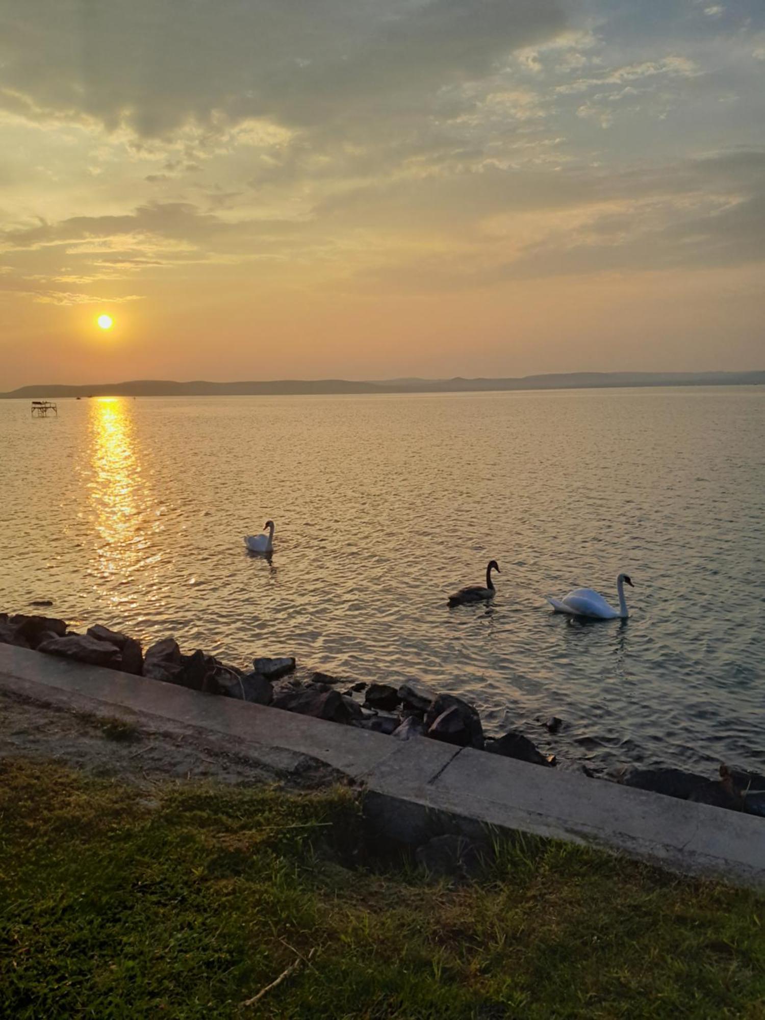 Traumlage Direkt Am See Balatonszárszó Dış mekan fotoğraf